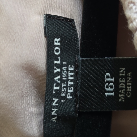 Ann Taylor-Beige lace sheath dress with chiffon overlay on right side Sz 16P - Picture 3 of 8